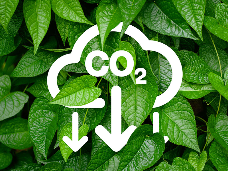 Acelerando el proceso de descarbonización